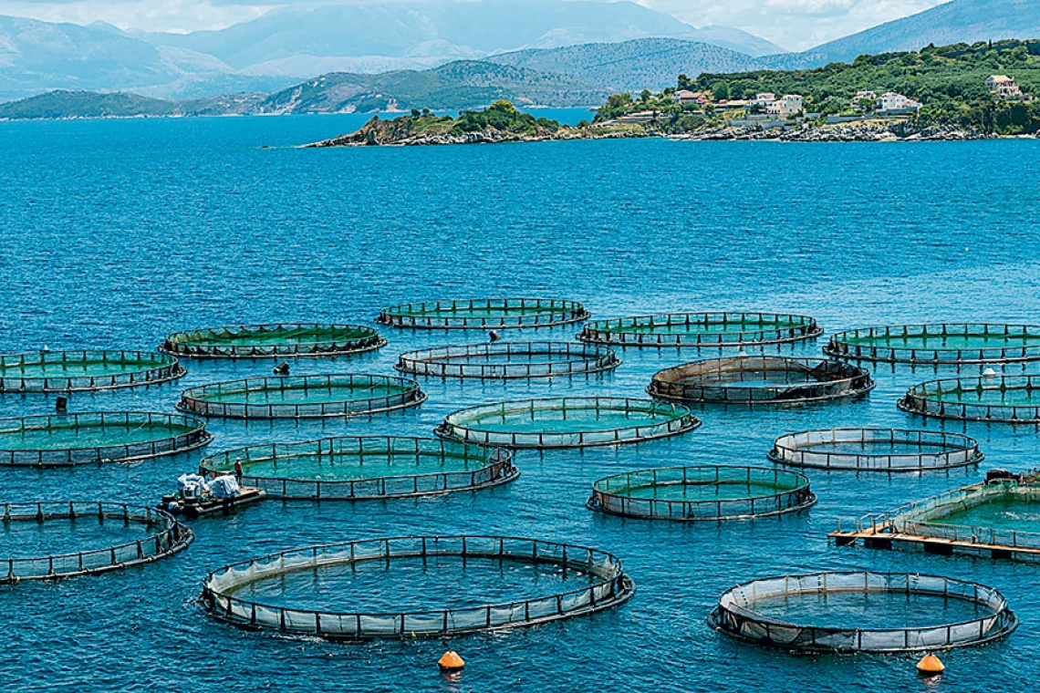 Συνέντευξη με τον ζωοτέχνη Αντώνη Κάμπουρα: Ιχθυοκαλλιέργειες και παρενέργειες